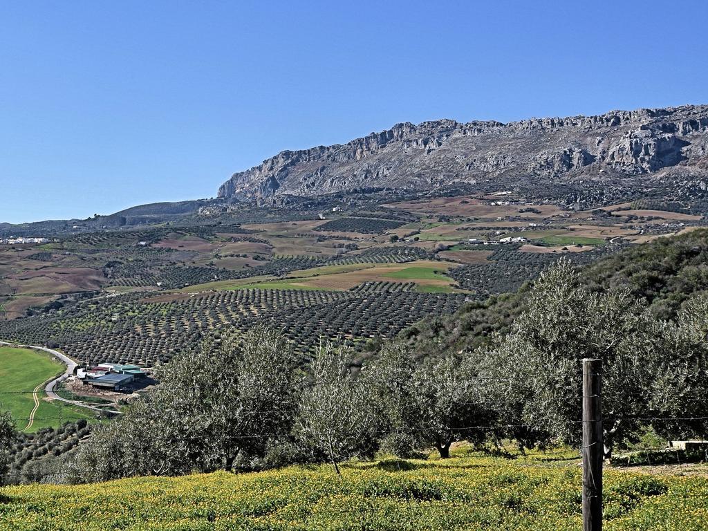 Villanueva de la Concepción Belvilla By Oyo Casa Celeste מראה חיצוני תמונה